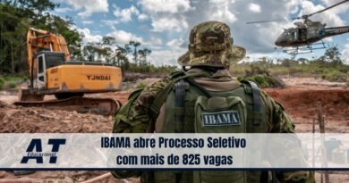 IBAMA abre Processo Seletivo com mais de 825 vagas